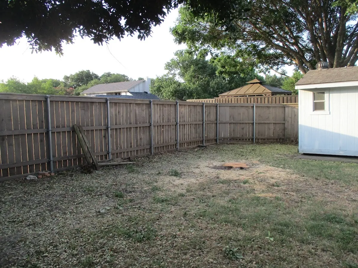 Cleared yard after professional tree removal in Portland